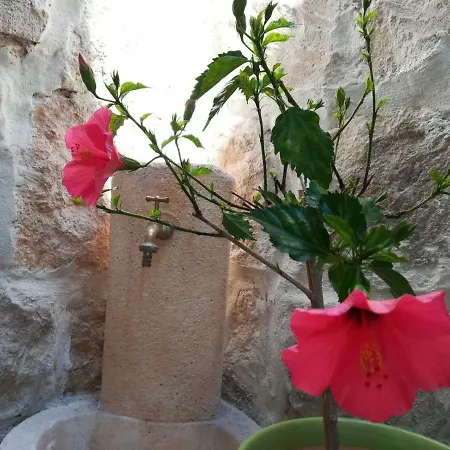 דירה Marene *